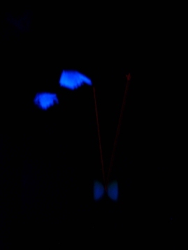 Schwarzlicht 4